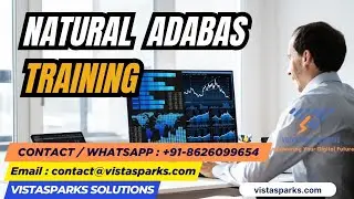 🚀 NATURAL ADABAS Training | Mainframe Application Development | Vistasparks Solutions