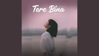 Tere Bina