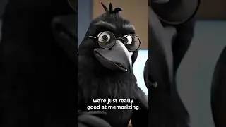 Crows are NOT vengeful  #veo3 #crow #birds #funny #ai