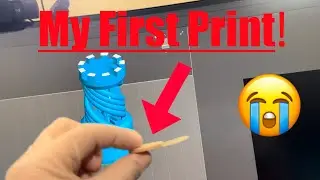 Elegoo Saturn 4 Ultra - First Print and Apartment Setup