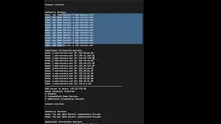 DNS Lookup