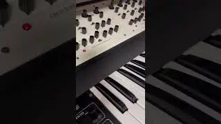 Oberheim TVS in action #oberheim #analogsynth #synth #vintagesynth