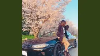 METAMORPHOSIS 6