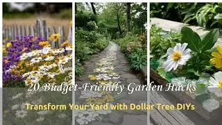 Cheap Garden Decor Ideas: Transform Your Yard with Dollar Tree DIYs
