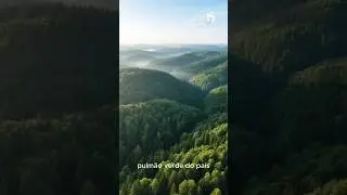 JOIAS ESCONDIDAS ALEM&Atilde;S: Th&uuml;ringer Wald &ndash; Trilhas Secretas e N&eacute;voa que Esconde o Passado! 😱 #shorts