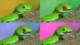 HD 1444p