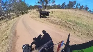 ADV Riding Kilcoy to Gatton via Benarkin, Crows Nest, Waterhole Gully Rd, Nukinenda Rd & 17 Mile Rd.