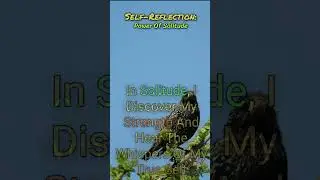 Power Of Solitude #mindset #health #energy #mentalhealth