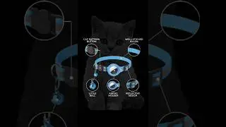 How to keep track of your #cat? #collar #collars #airtag #catcollar #findyourcat #petlover