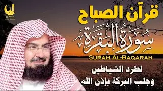 سورة البقرة كاملة لتحصين البيت من الحسد والسحر | السديسSurah Al-Baqarah for Home Protection