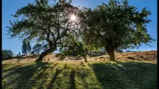 Imaj Music - The Healing