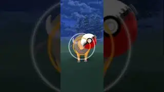 Tauros  Caught in Pokemon go #Tauros #pokemongo #kantoregion #Shorts