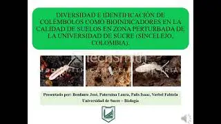 Colembolos de unisucre