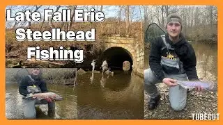 Erie Steelhead Fishing, small Lake Erie Tributary, Late Fall, Catch and Release.