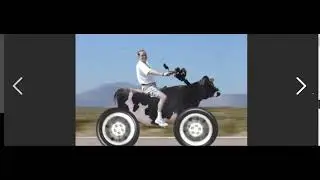 STOMP  YOUNG BUCK 2022 Gif Microsoft Bing Funny Music Video mix 🐄 Like a Pimp DJ STACKS David Banner