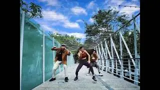Born Winner dancehall choreo