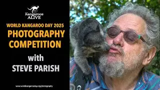 Steve Parish announces winner of the 2025 WORLD KANGAROO DAY Photo Comp