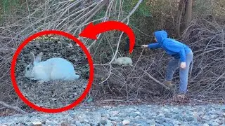 Living in the woods for 7 months 😱‼ | RABBIT RESCUE