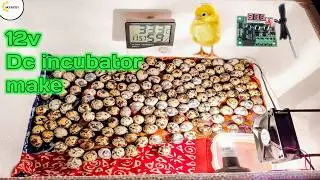 How to make 12 volt dc incubator | Mini Incubator with W1209 Controller | Best egg incubator