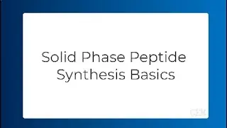 Solid Phase Peptide Synthesis (SPPS) Explained: A Beginner’s Guide | CEM Corporation