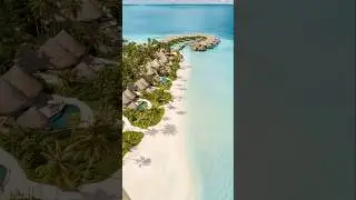 expect nothing but perfection at one of the best hotels in the world, nestled in maldives #travel