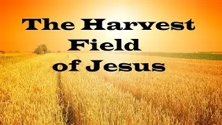 The Harvest Field &ndash; The Teachings of Jesus &ndash; Christian Devotional