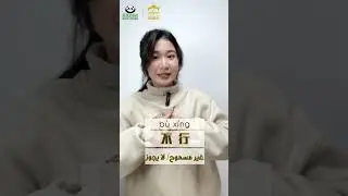 كيفية استخدام 