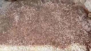 mitti ka swim pol swimming pool