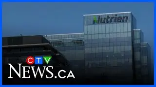 Nutrien pursing plans for west coast terminal in Washington