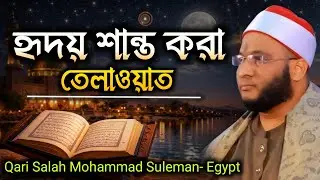 Heart-calming recitation Qari Salah Mohammad Suleman- Egypt 