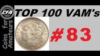 1897 P VAM 6A 'Pitted Reverse' Morgan Die Variety | Top 100 | What VAMs are Worth the most Money?