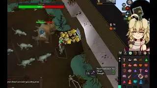 OSRS! Knocking out some skills, trying Scurrius The Rat King! (great boss!)