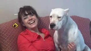 &ldquo;Perros en acci&oacute;n&rdquo;  Programa N&ordm; 318 Bloque 1