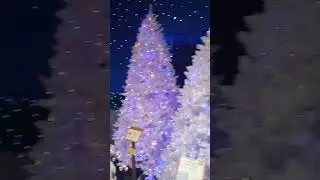  ROBERT'S CHRISTMAS WONDERLAND FLORIDA! Part 2 of 2