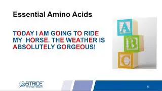 Amino Acid Support for Horses