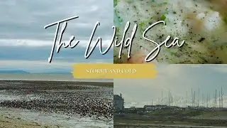 Salt, Sea & Superstition: A Taste of Coastal Tradition