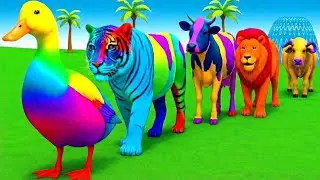 Long site game Ultimate Long Slide Game 🔥 | Elephant Gorilla Hippo | Funny Animals