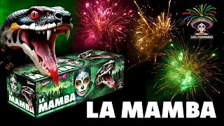 La Mamba - 04443 | CAT F2 | Official video