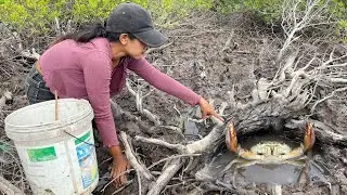 Unique Fishing - Catch Huge Mud Crabs at Swamp after Water Low Tide