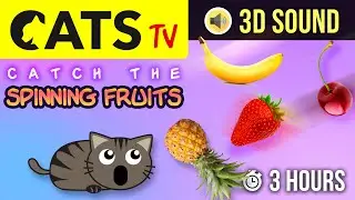 GAME FOR CATS - Catch the FRUITS 🍍🍓🍏 3 HOURS - 60FPS [CATS TV]