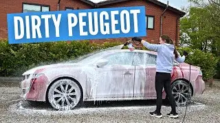 Очистка грязного Peugeot 508 | Мойка и защита кузова автомобиля