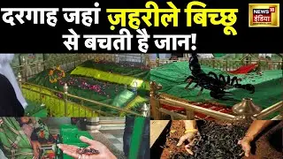 LIVE : दरगाह जहाँ ज़हरीले बिच्छू से बचती है जान! | Shah Wilayat | Amroha | UP | Dargah | Hindi News