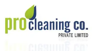 Pro cleaning company logo animation