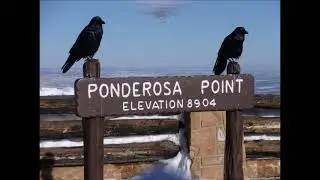 Skireise nach Colorado und Utah mit Besuch von Nationalparks vom 13 02  bis 04 03 2010 Teil 3