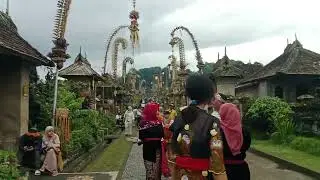 PANGLIPURAN...//#kandang #hamermill