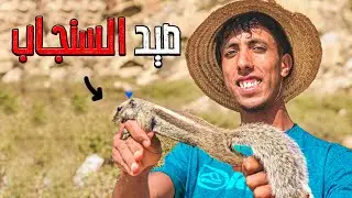 العيش الحر : أسهل 🤯طريقة لصيد السناجب 🐿 البرية 🏕يوم ملكي🫅 لي السناجب 🤩❓