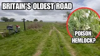 Foraging the Ridgeway for knowledge and sustenance p1