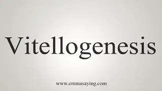 How To Say Vitellogenesis