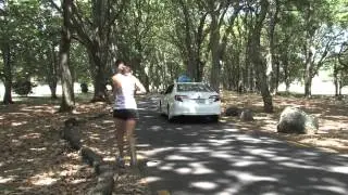 Co-Op Taxi Eco Fleet (Blue Bubble Group)