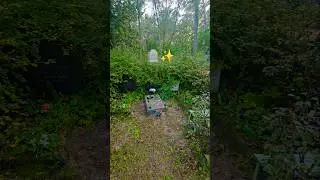Don't neglect resting places of your loves ones 🪦🌿  #gravemaintenance #grave #cleanup